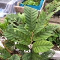 我的相册